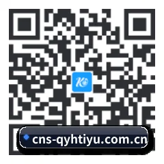 华为专属原生版 二维码